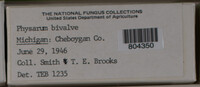 Image Associated With the Occurence